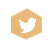 Twitter Twitter