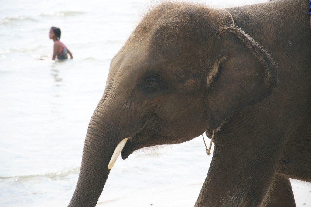 Koh Chang 