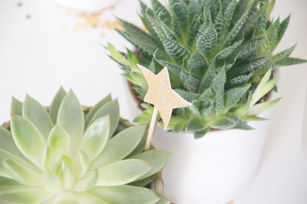 Dis vague plantes