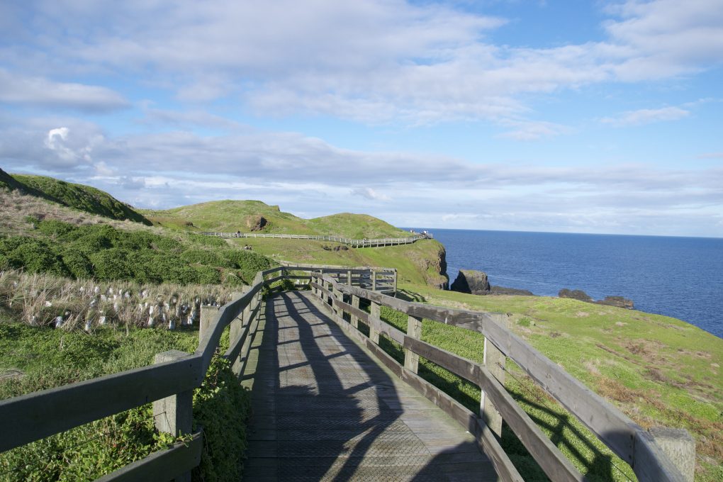 DSC_0070