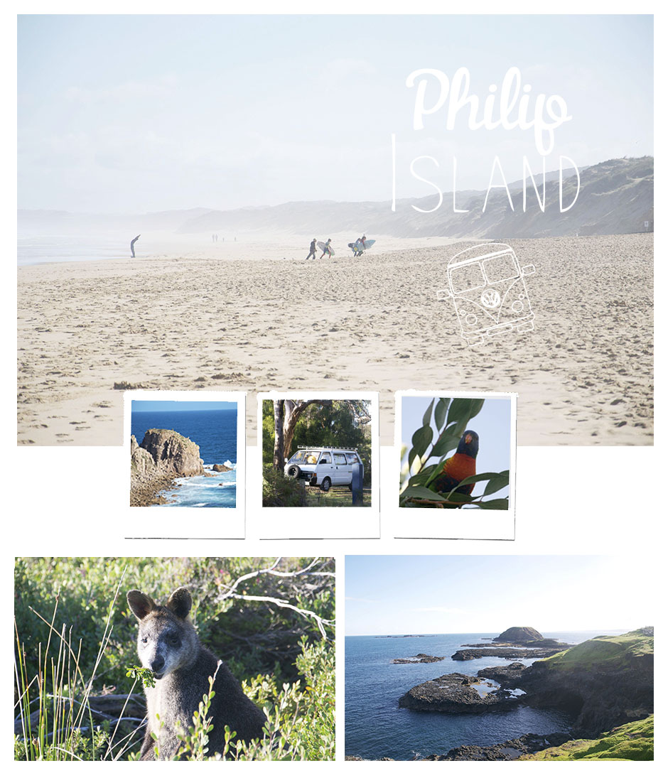 philip island2