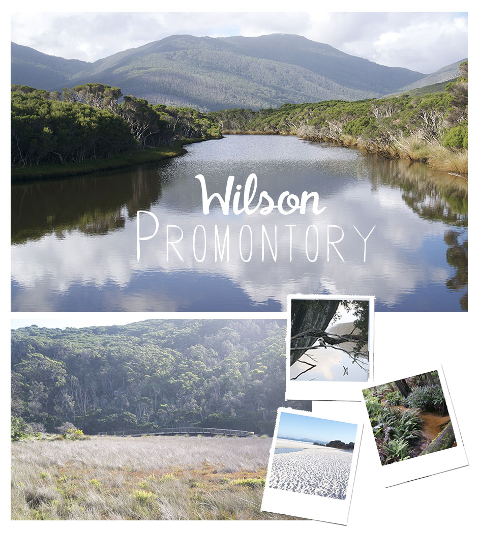 wilson promontory